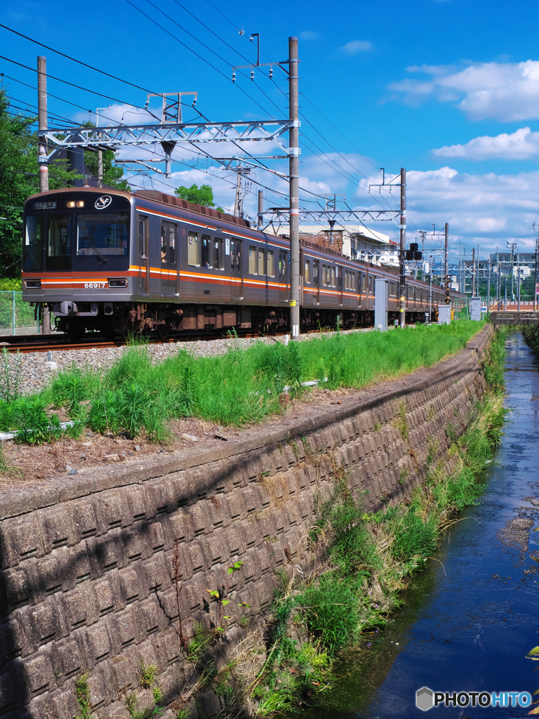 夏の小川