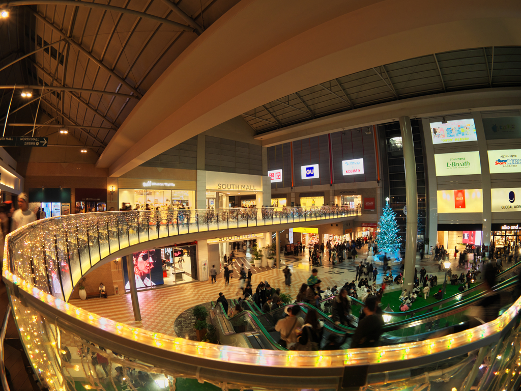 今年のクリスマスツリー Ⅲ