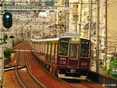 山の手マルーン