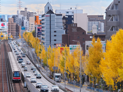 晩秋の千里路