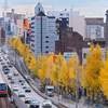 晩秋の千里路