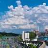 夏雲を背にして