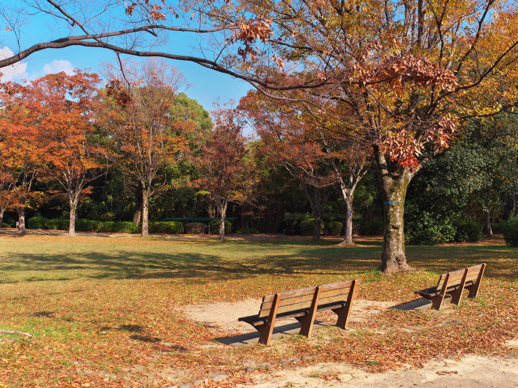 秋の公園