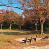 秋の公園