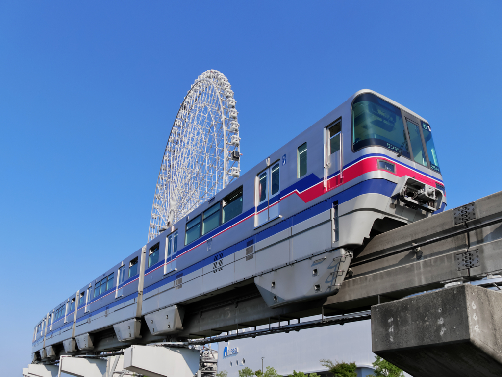 仰げば蒼し