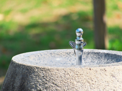 水分補給はしっかりと
