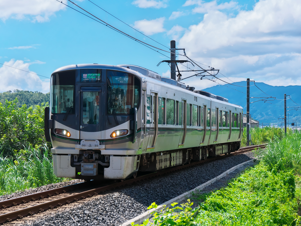 今日は君の日 Ⅳ