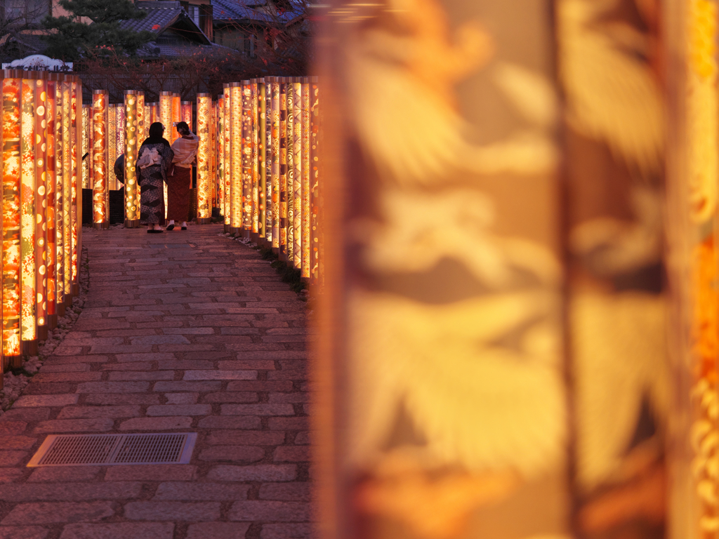 キモノフォレスト 2026