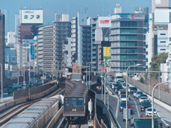 たまたま見つけた構図