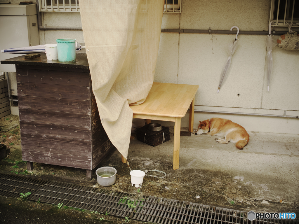ひとやすみ