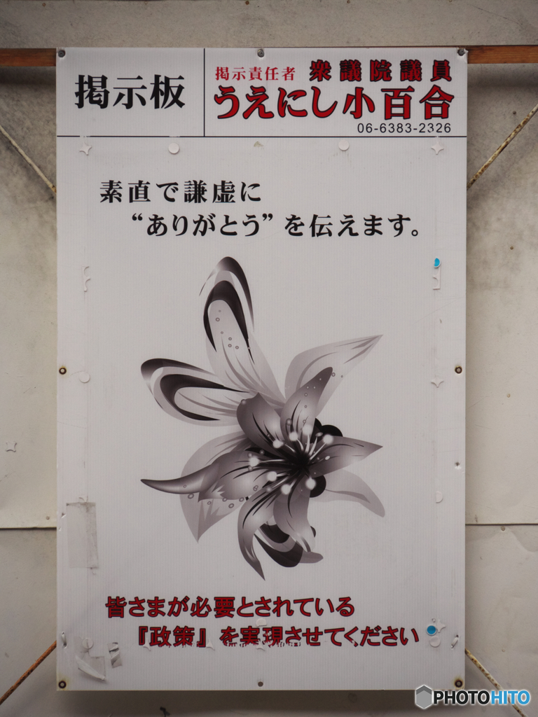 今年の反省