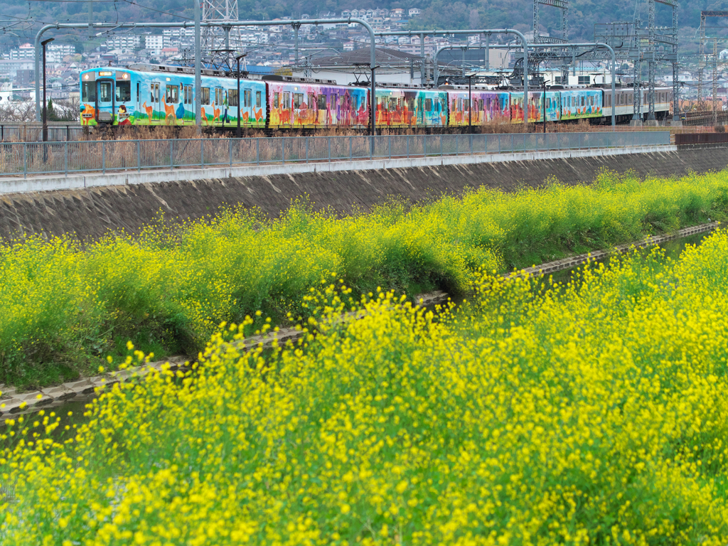 春の小川 Ⅱ