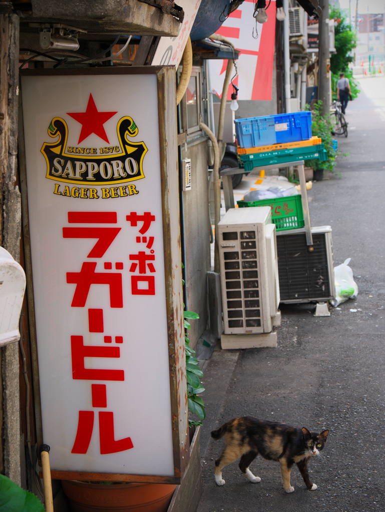 ちょいとお客さん