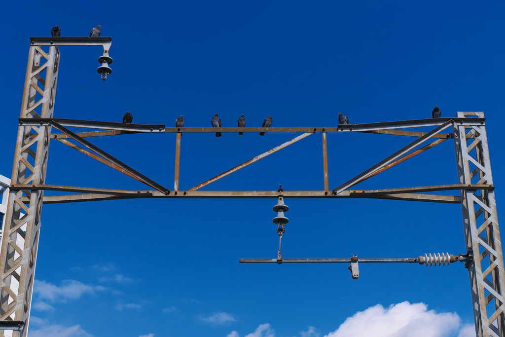 ぽっぽたちの青空
