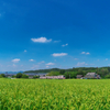 寒い朝だから