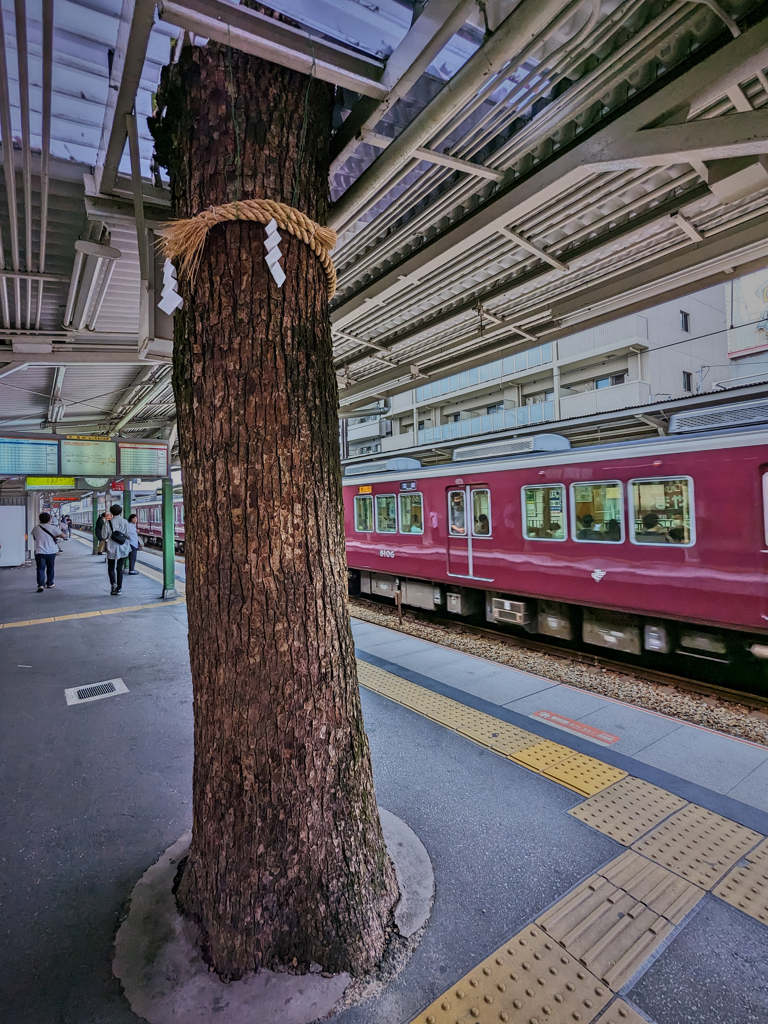 御神木のある駅