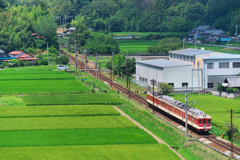 のどかな風景