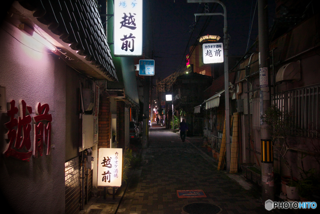 越前