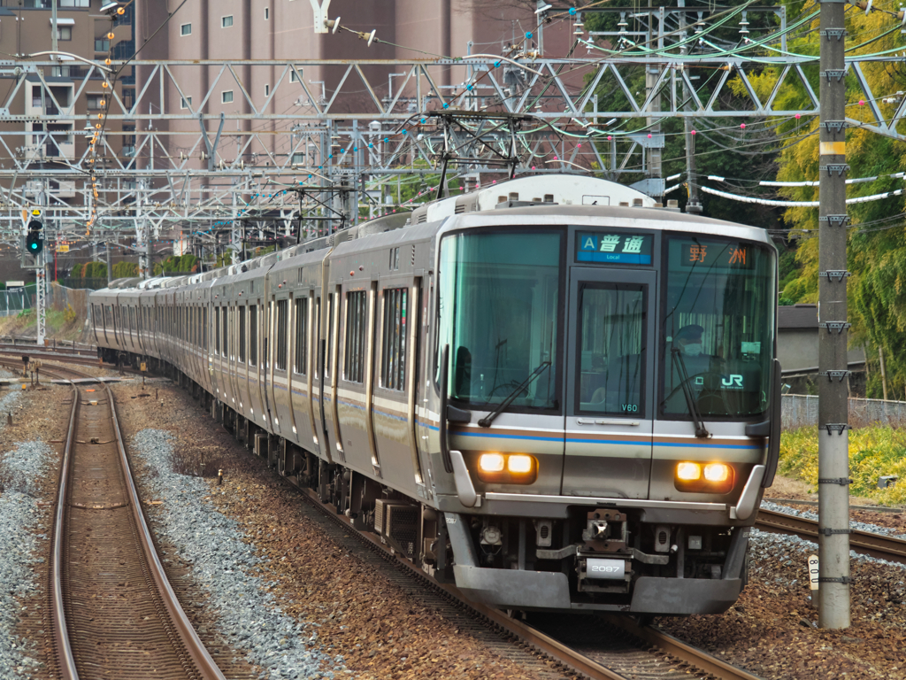退屈な写真ですが