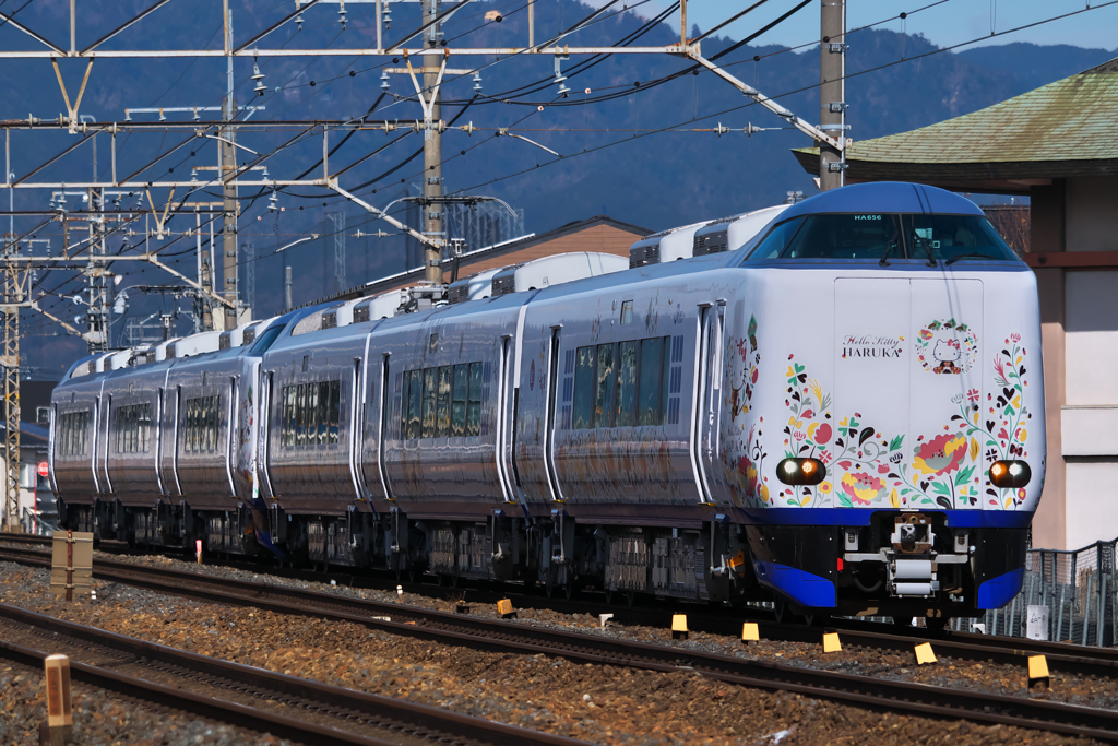 キティ、近江路を征く