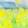 Yellow Fantasy