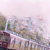 2020・マルーンの春 Ⅳ