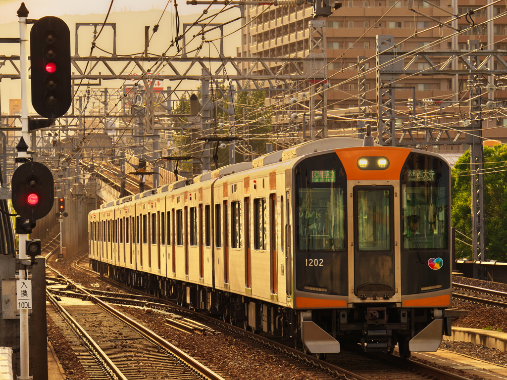 夕日に照らされながら