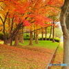 紅葉を近所で愛でる