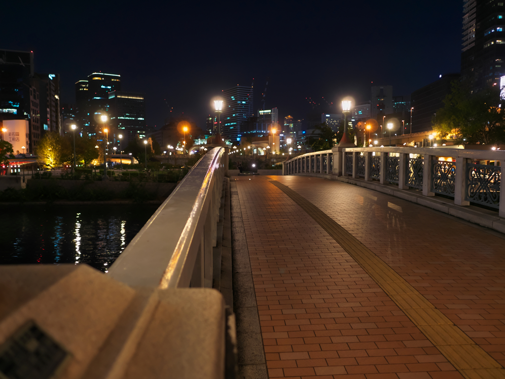 夜の中之島