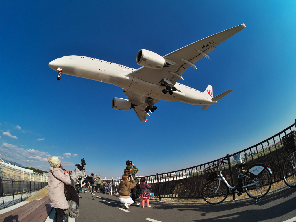 久々の千里川 Ⅱ