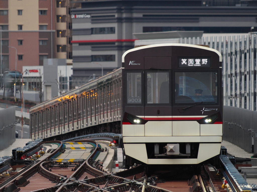 新しいお立ち台？