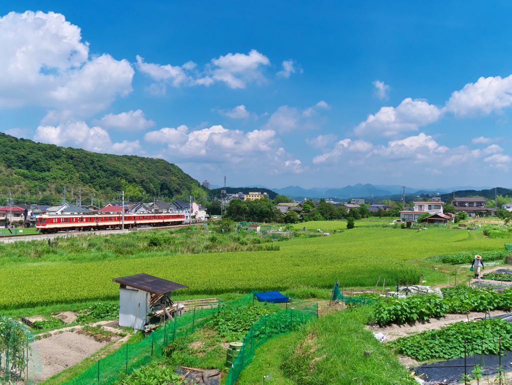 夏の思ひ出
