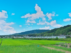 国鉄型の夏