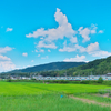 国鉄型の夏