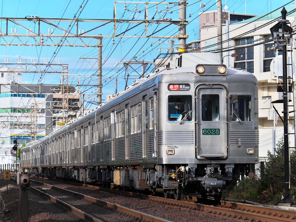 白銀の老兵