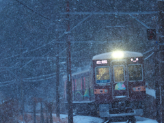 雪に負けずに…