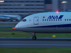 アンコリの光る刻