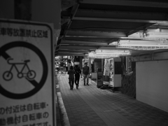 石橋を叩いて歩く Ⅱ
