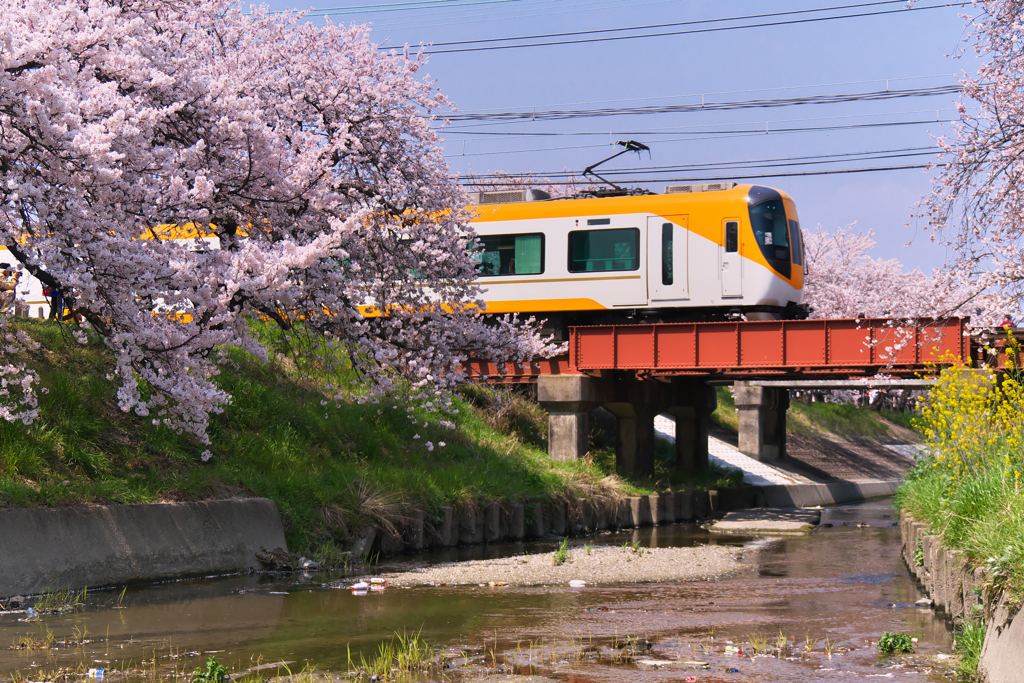 Aceを狙え
