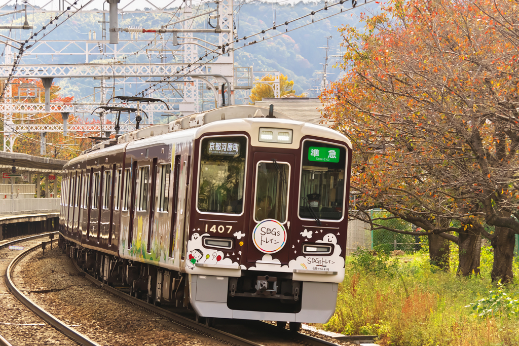 2021・マルーンの秋 Ⅱ