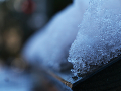 暑中お見舞い申し上げます