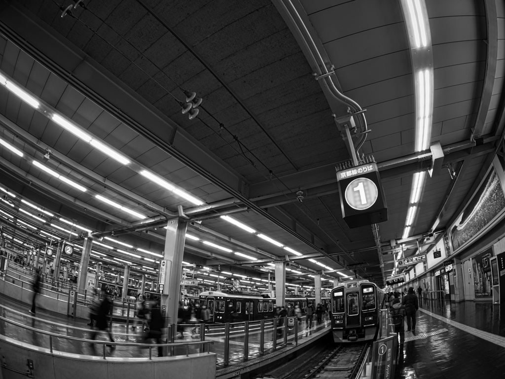 Great terminal UMEDA 2022 mono ver.