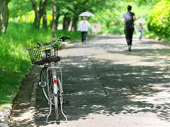 新緑の散歩道