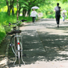 新緑の散歩道