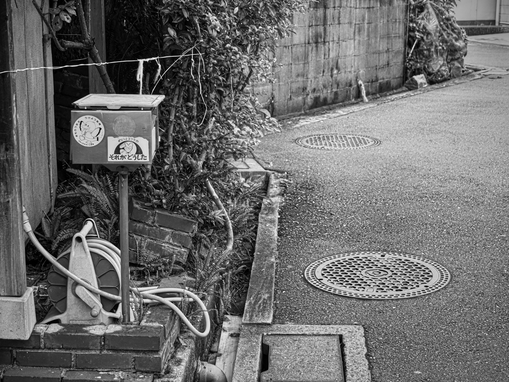 それがどうした