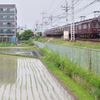 田んぼに水が入りました Ⅲ
