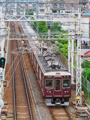 わちゃわちゃしてるけど…