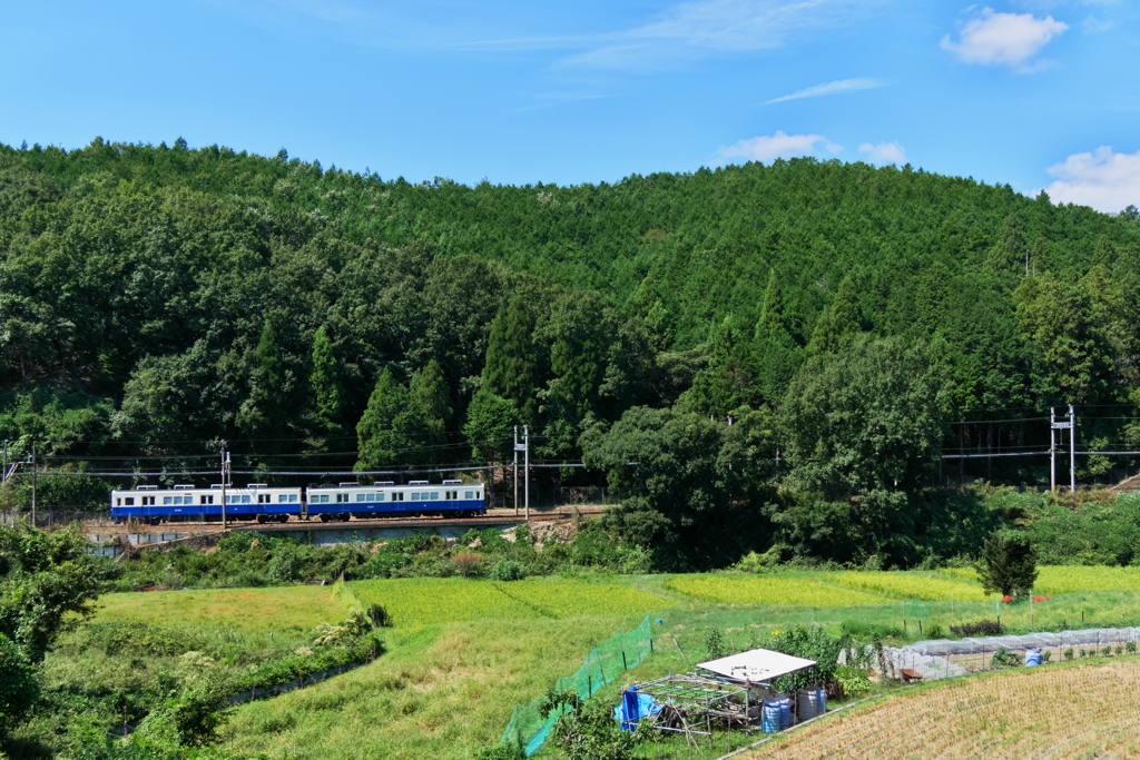 のどかなる旅路を征く
