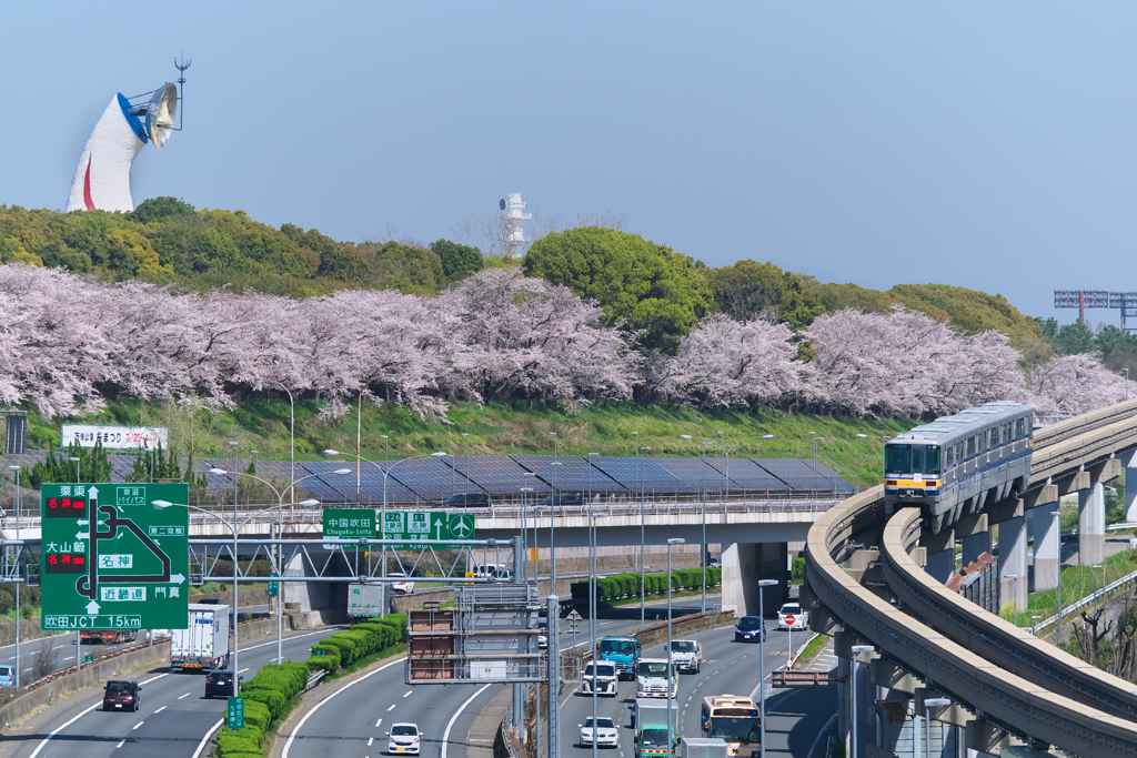 モノレールの春