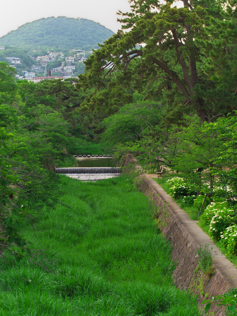 夙川にて